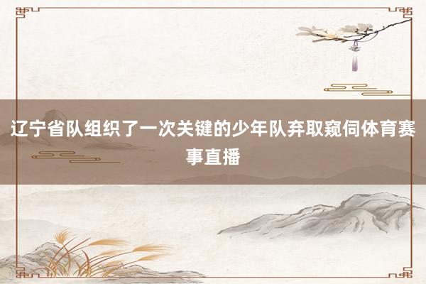 辽宁省队组织了一次关键的少年队弃取窥伺体育赛事直播