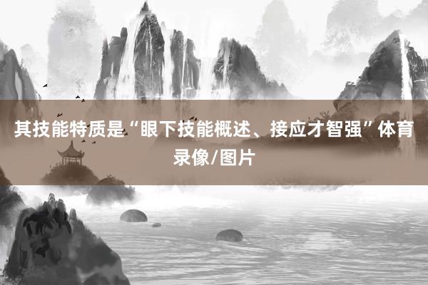 其技能特质是“眼下技能概述、接应才智强”体育录像/图片