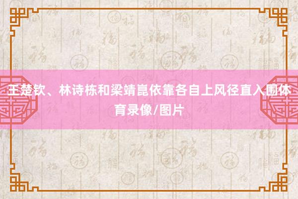 王楚钦、林诗栋和梁靖崑依靠各自上风径直入围体育录像/图片