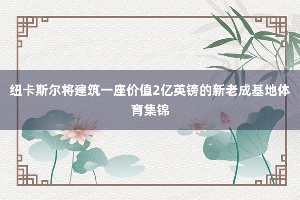 纽卡斯尔将建筑一座价值2亿英镑的新老成基地体育集锦