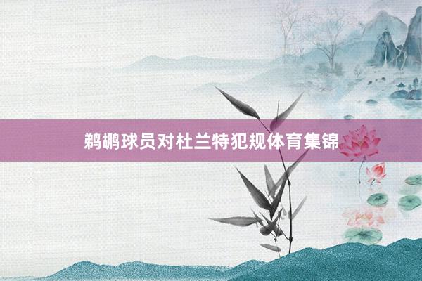 鹈鹕球员对杜兰特犯规体育集锦