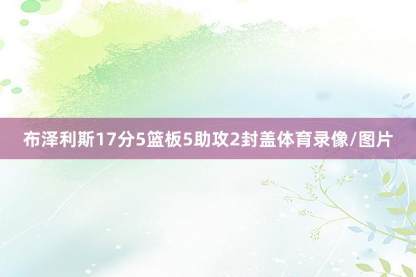 布泽利斯17分5篮板5助攻2封盖体育录像/图片