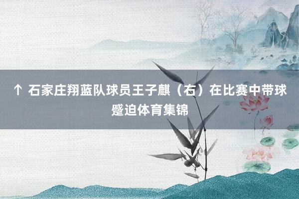 ↑ 石家庄翔蓝队球员王子麒（右）在比赛中带球蹙迫体育集锦