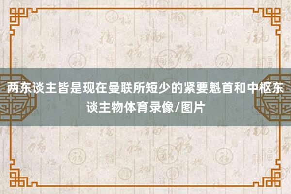 两东谈主皆是现在曼联所短少的紧要魁首和中枢东谈主物体育录像/图片