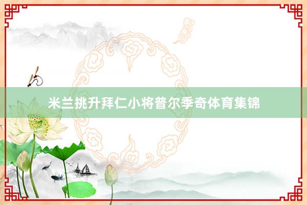 米兰挑升拜仁小将普尔季奇体育集锦