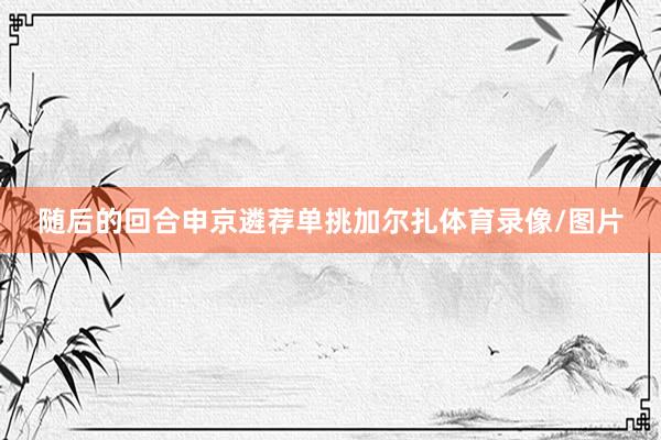 随后的回合申京遴荐单挑加尔扎体育录像/图片