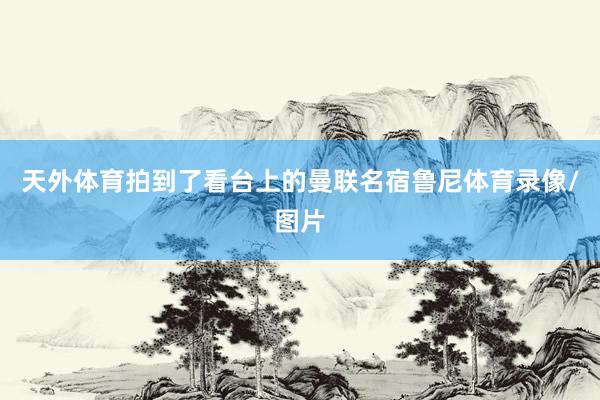 天外体育拍到了看台上的曼联名宿鲁尼体育录像/图片