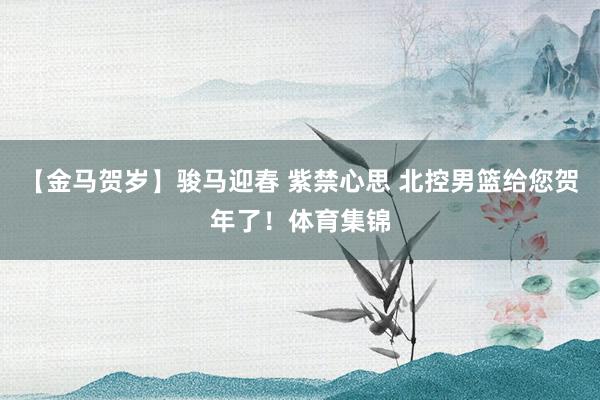 【金马贺岁】骏马迎春 紫禁心思 北控男篮给您贺年了！体育集锦
