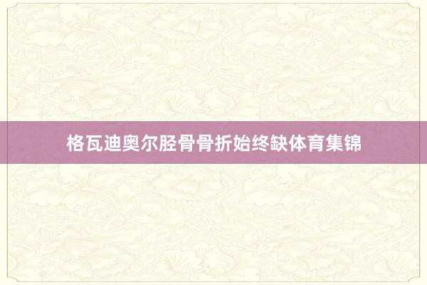 格瓦迪奥尔胫骨骨折始终缺体育集锦
