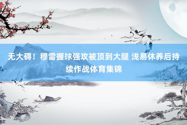 无大碍！穆雷握球强攻被顶到大腿 浅易休养后持续作战体育集锦