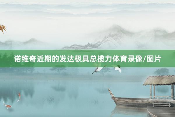 诺维奇近期的发达极具总揽力体育录像/图片