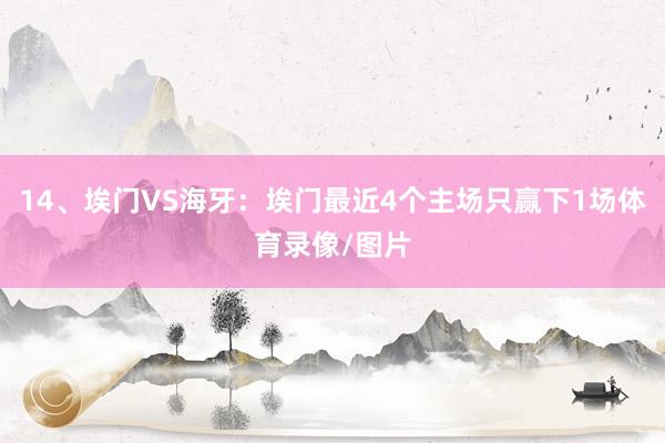 14、埃门VS海牙：埃门最近4个主场只赢下1场体育录像/图片