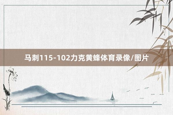马刺115-102力克黄蜂体育录像/图片
