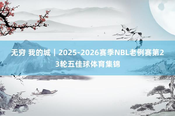 无穷 我的城｜2025-2026赛季NBL老例赛第23轮五佳球体育集锦
