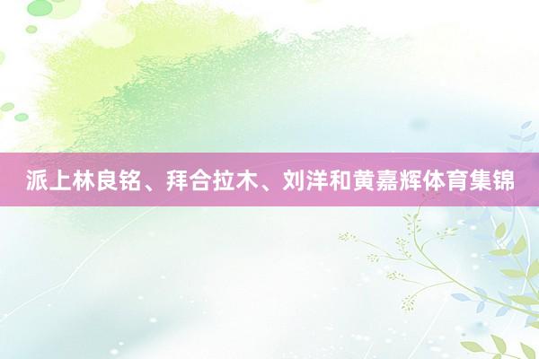 派上林良铭、拜合拉木、刘洋和黄嘉辉体育集锦