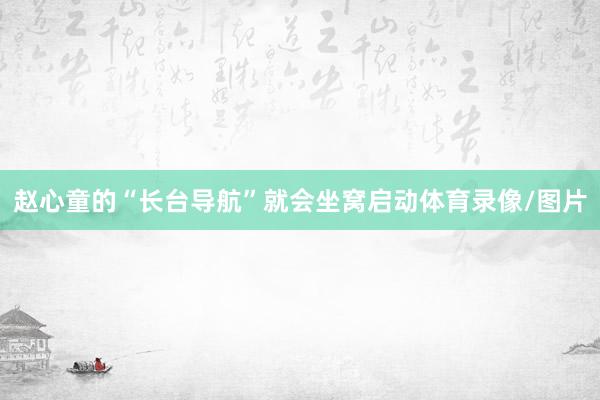 赵心童的“长台导航”就会坐窝启动体育录像/图片