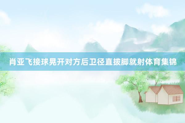 肖亚飞接球晃开对方后卫径直拔脚就射体育集锦