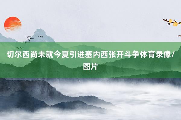 切尔西尚未就今夏引进塞内西张开斗争体育录像/图片