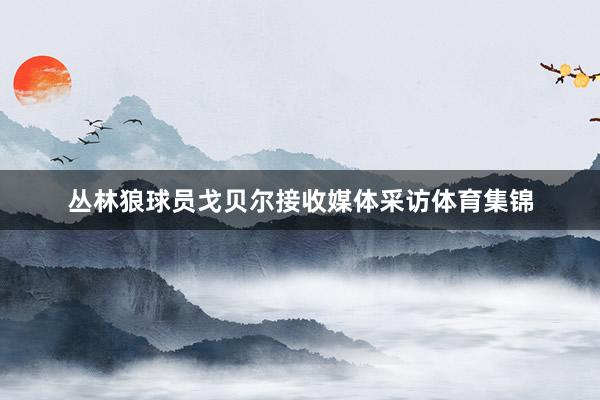 丛林狼球员戈贝尔接收媒体采访体育集锦