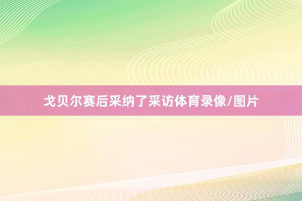 戈贝尔赛后采纳了采访体育录像/图片