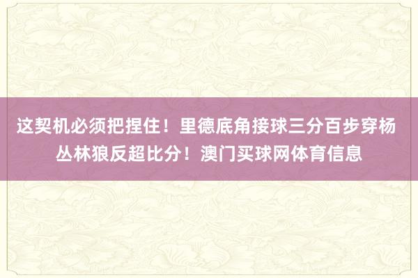 这契机必须把捏住！里德底角接球三分百步穿杨 丛林狼反超比分！澳门买球网体育信息