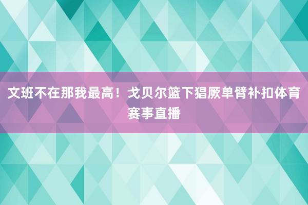 文班不在那我最高！戈贝尔篮下猖厥单臂补扣体育赛事直播
