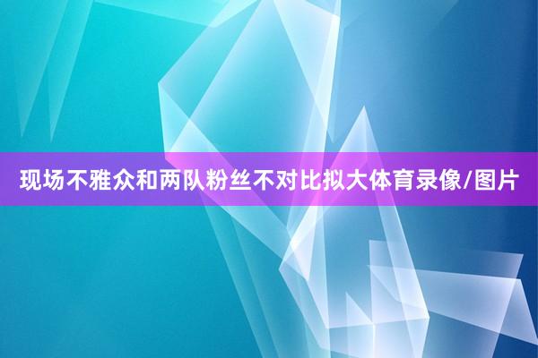 现场不雅众和两队粉丝不对比拟大体育录像/图片
