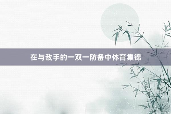 在与敌手的一双一防备中体育集锦