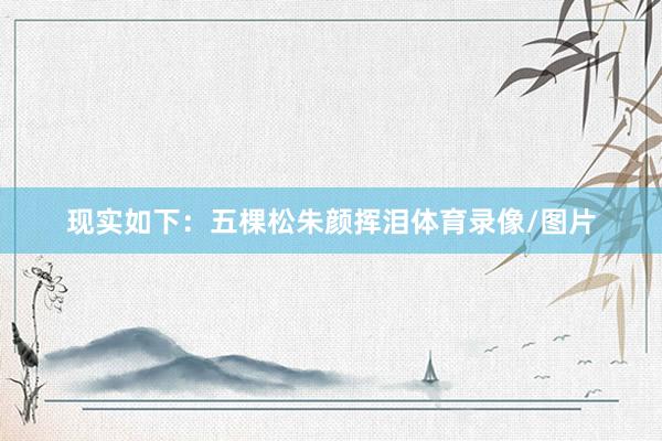 现实如下：五棵松朱颜挥泪体育录像/图片