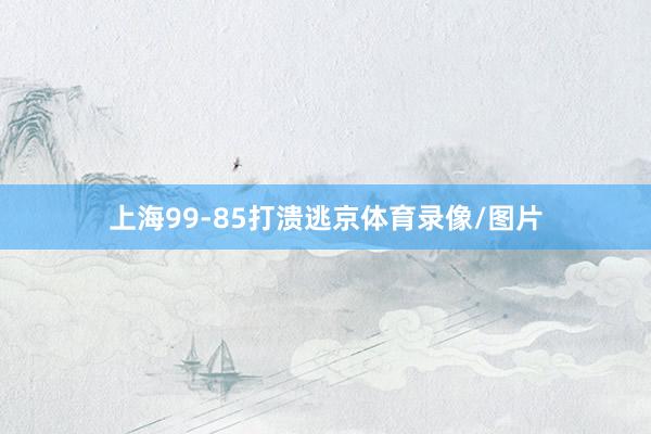 上海99-85打溃逃京体育录像/图片