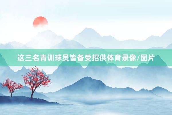 这三名青训球员皆备受招供体育录像/图片