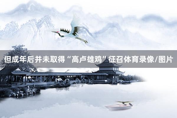 但成年后并未取得“高卢雄鸡”征召体育录像/图片