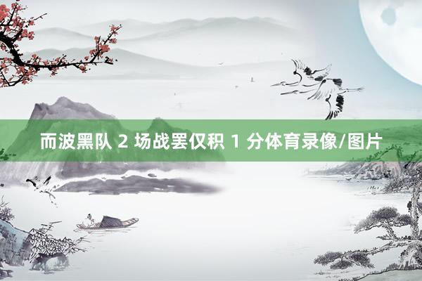 而波黑队 2 场战罢仅积 1 分体育录像/图片